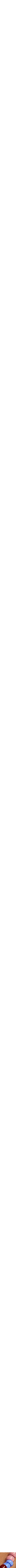 Assorti