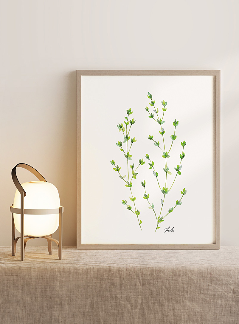 Fiola Assorted green  My thyme plant art print 3 sizes available