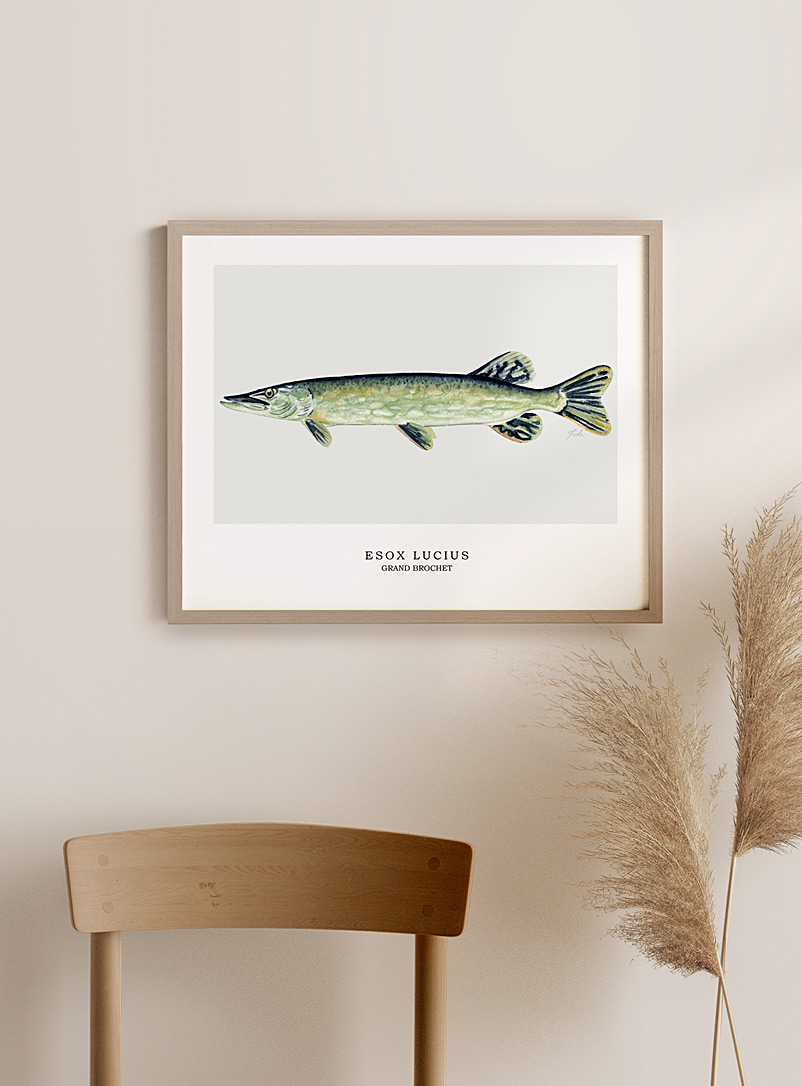 Fiola Assorted Northern pike art print See available sizes