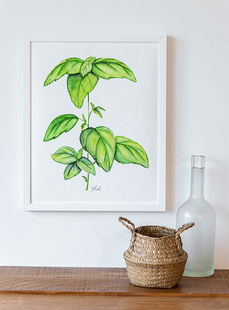 Fiola Green My basil plant art print 3 sizes available
