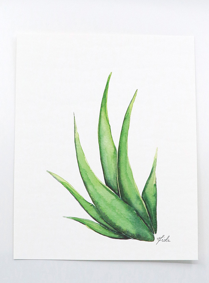 Fiola: L'affiche Aloe vera 3 formats offerts Vert