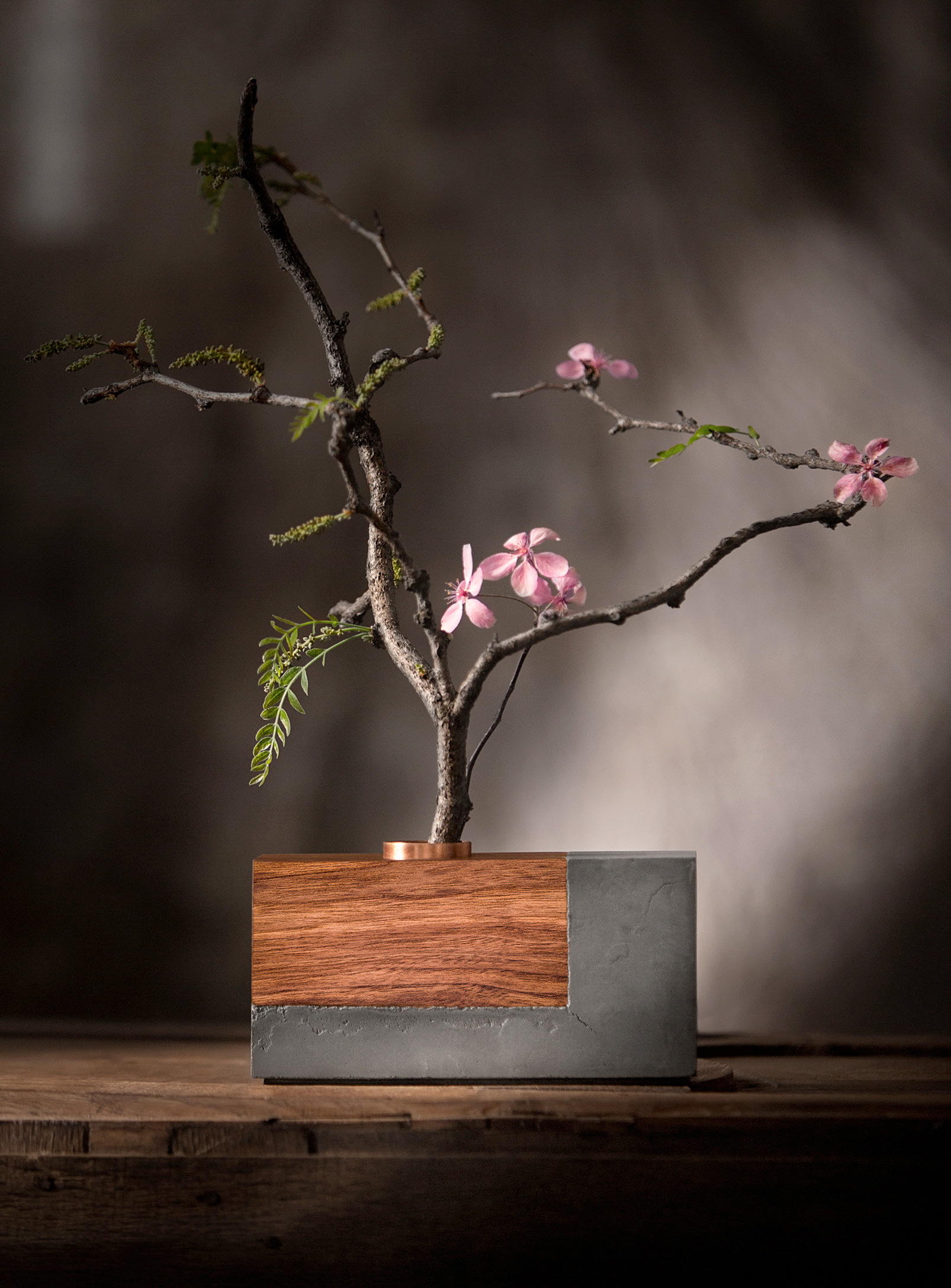 Raphaël Zweidler - Le vase Ikebana bois et béton 10 cm de hauteur