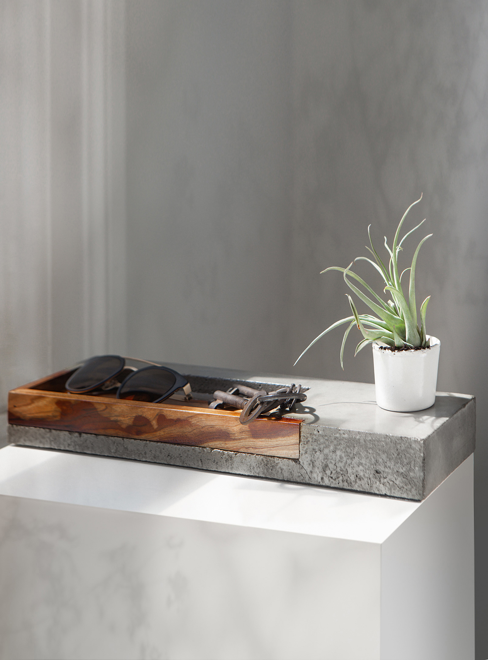 Raphaël Zweidler Arizona Wood And Concrete Tray In Assorted