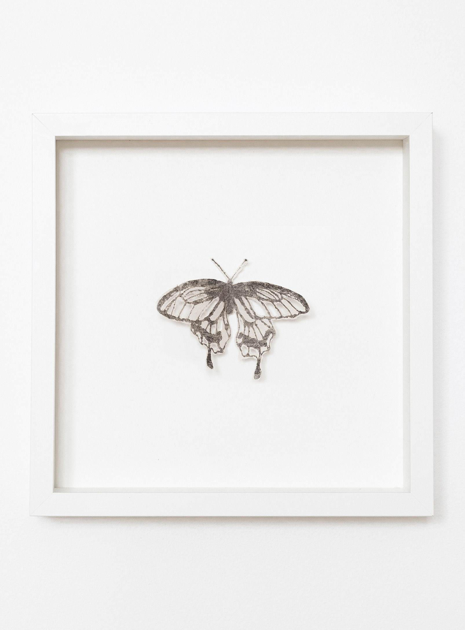 Tania Love - Butterfly I wall art 10.75 x 10.75 in
