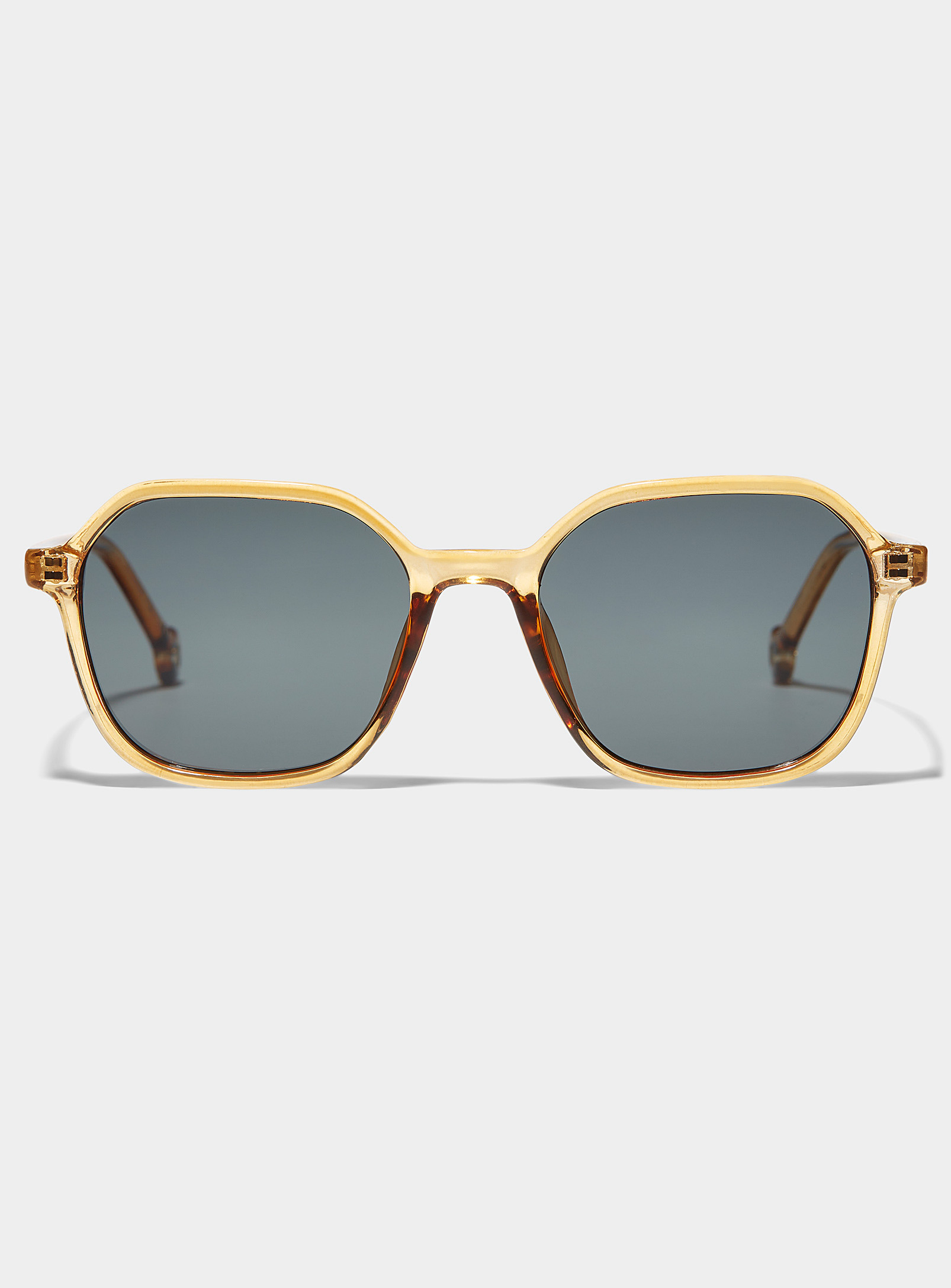 Parafina Valle Sunglasses In Medium Brown