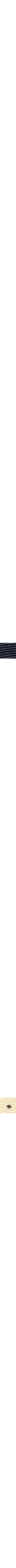 Jaune doré