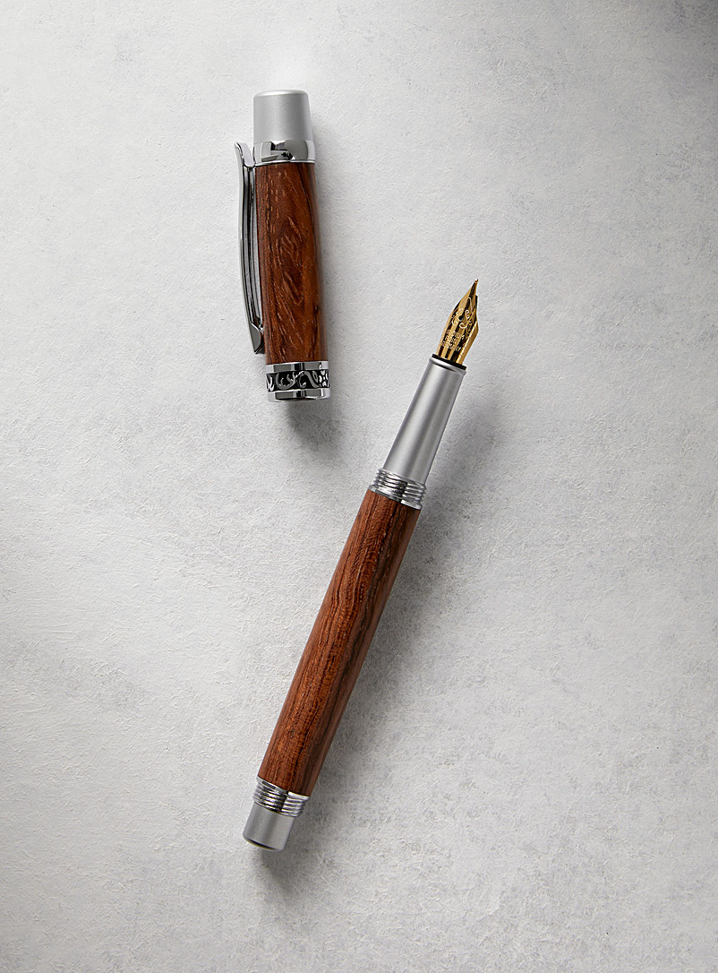 Au tournant de l'art Dark Brown Sierra luxury fountain pen