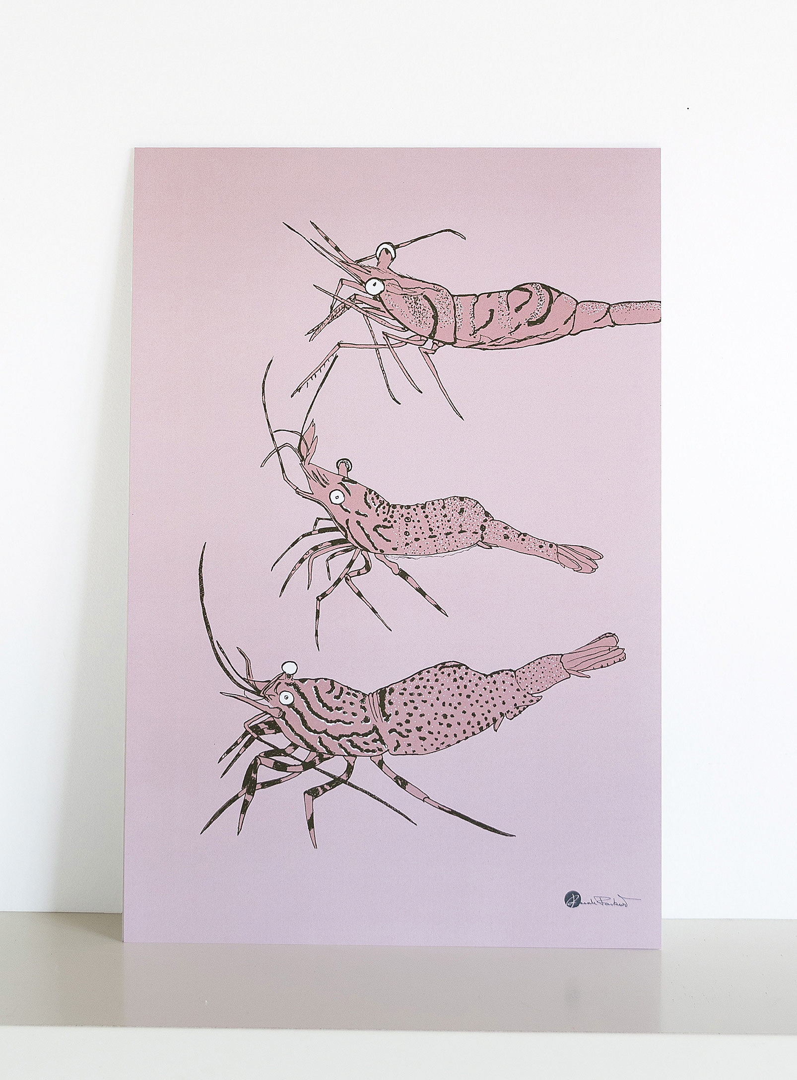 Pascale Faubert Créations Northern Shrimp Art Print 12 X 18 In In Pink