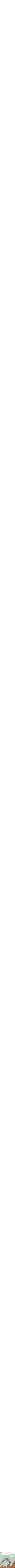 Assorti