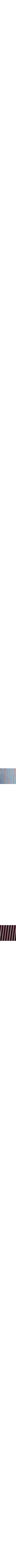 Patterned Blue