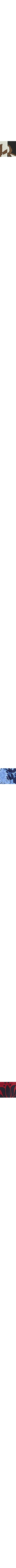Bleu à motifs