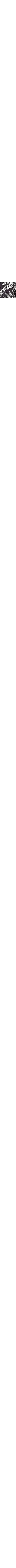 Blanc et noir