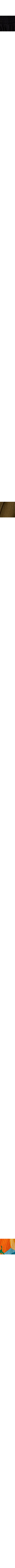 Kaki