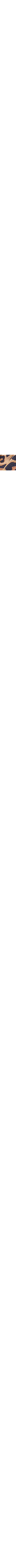 Léopard