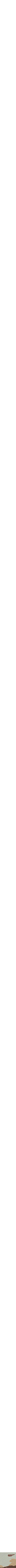 Assorti