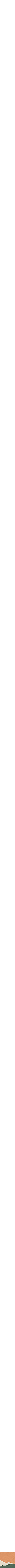 Assorti