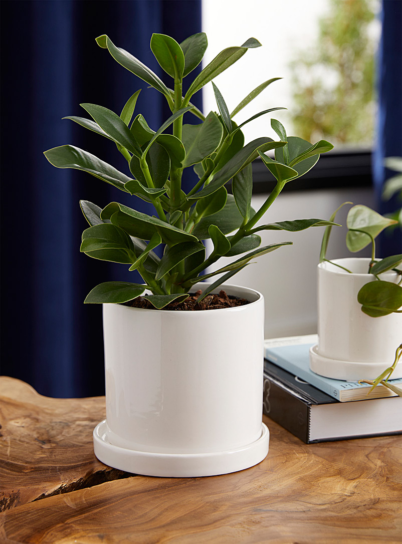 Simons Maison White Medium minimalist planter with saucer 4.25 in