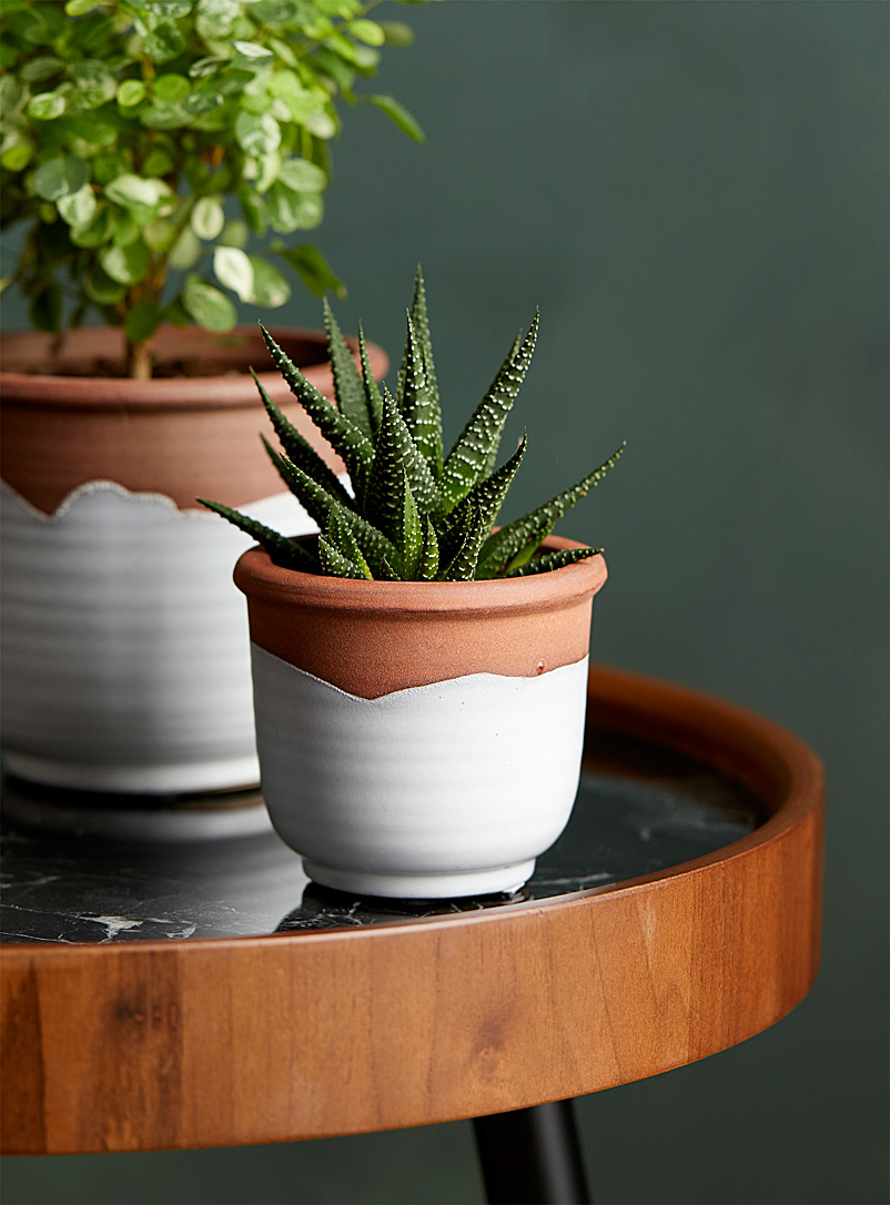 Simons Maison Assorted Artisanal terracotta planter 2.5 in