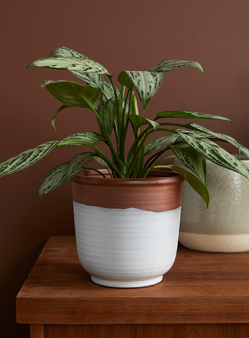La plante verte imitation alocasia, Simons Maison, Vases et cache-pots, Accessoires déco