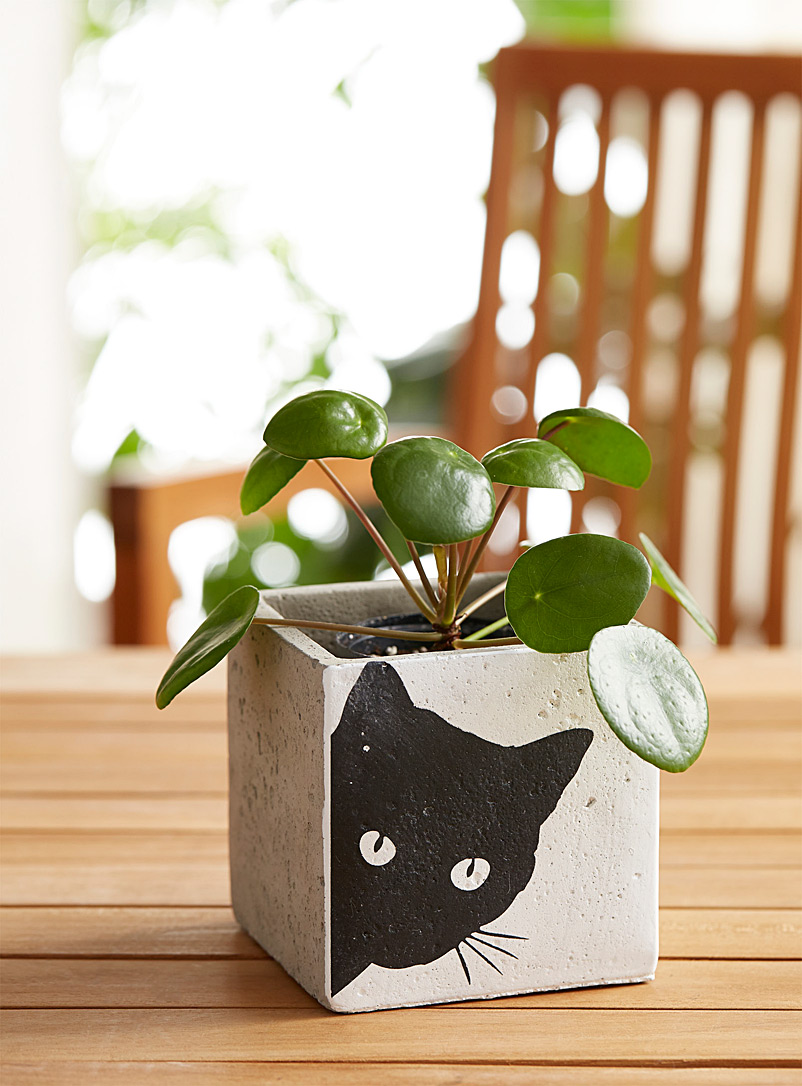 Simons Maison Grey Black cat faux-concrete planter
