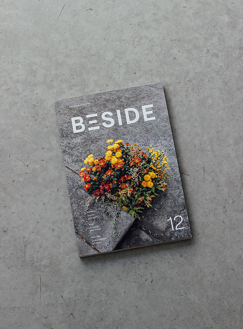 BESIDE French BESIDE magazine no. 12