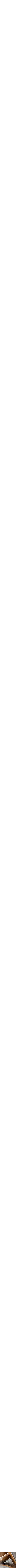 Assorti