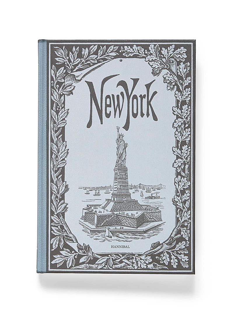 ACC Art Books: Le livre New York: A Photographic Journey Assorti pour homme
