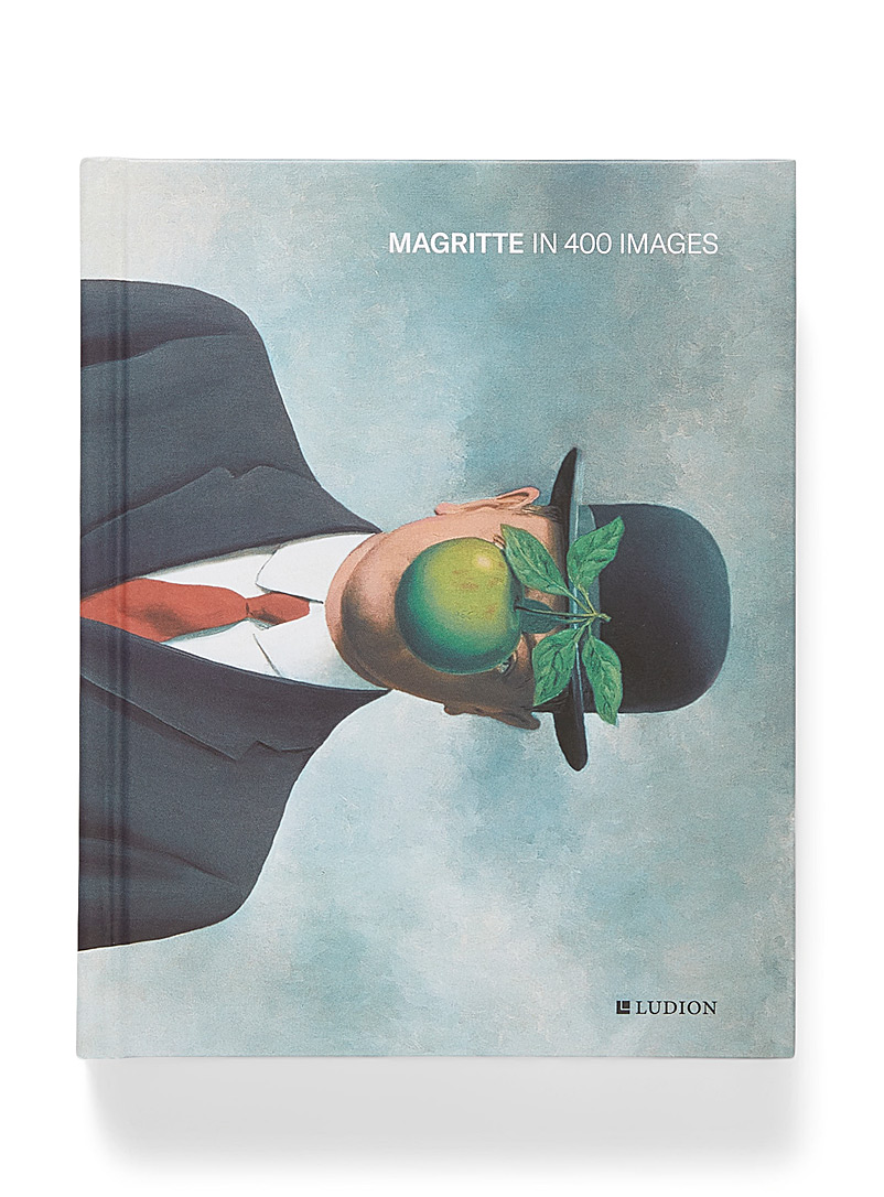 Ludion Assorted Magritte in 400 images book for men