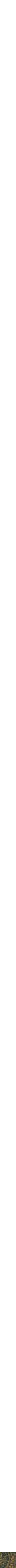 Assorti