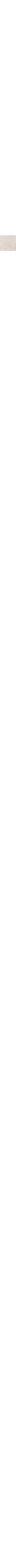 Écru à motifs