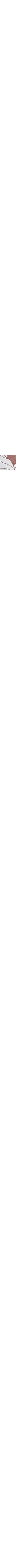 Brun à motifs