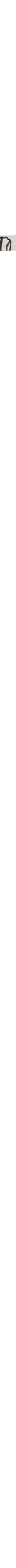 Écru à motifs