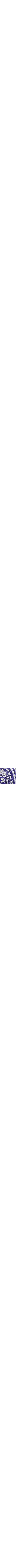 Bleu à motifs