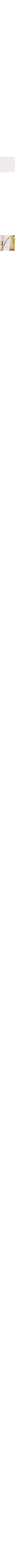 Écru à motifs