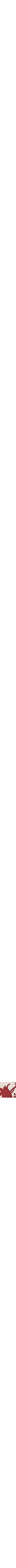 Rouge à motifs