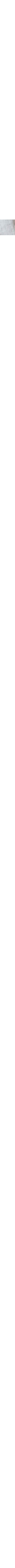 Ecru/Linen