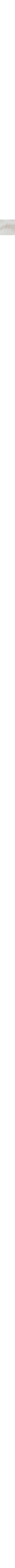 Écru - Lin