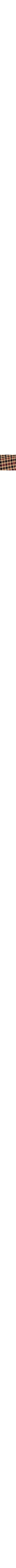 Brun à motifs