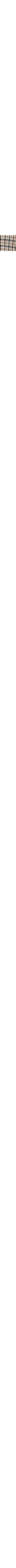 Patterned Ecru