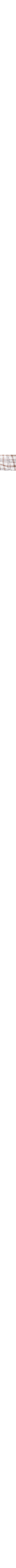 Brun à motifs