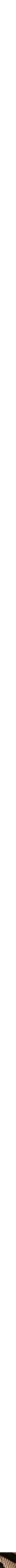 Ambre et mousse