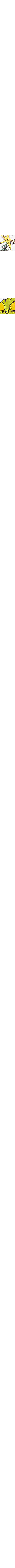 Écru à motifs