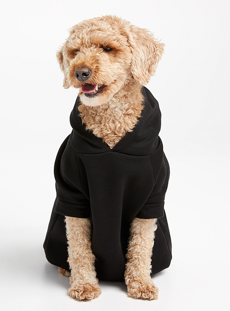 Petements Black Logo solid dog sweatshirt Large/X-Large for men