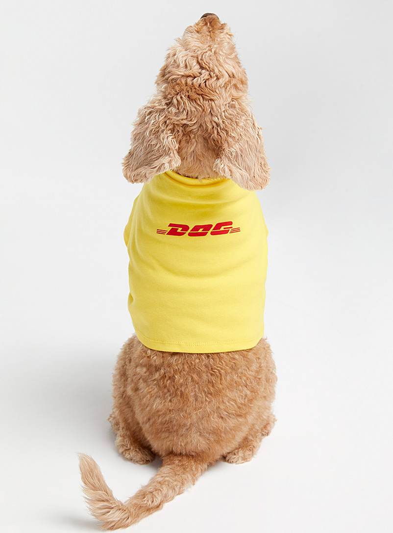 Petements Golden Yellow DHL Dog dog T-shirt Small/Medium for men