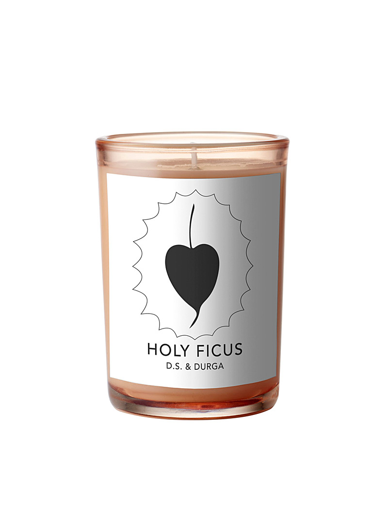 D.S. & Durga Assorted Holy Ficus scented candle for women