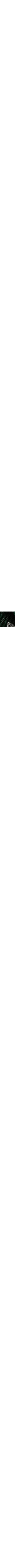 Vert à motifs