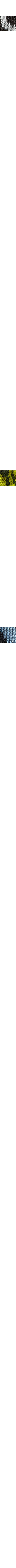 Noir à motifs