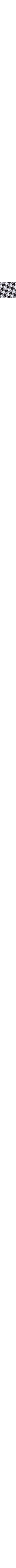 Blanc et noir