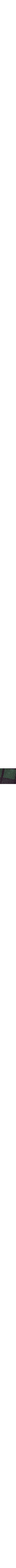 Color not available
