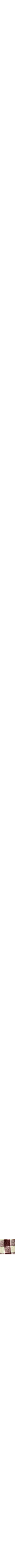 Brun assorti